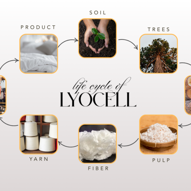 Lyocell Bedding