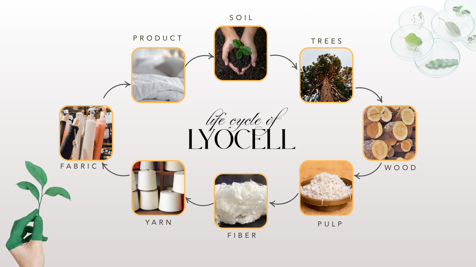 Lyocell Bedding